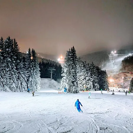 Tannenherz Mit Balkon & Bergblick & Naehe Hillebachsee & 2 Schlafzimmer Apartamento Winterberg