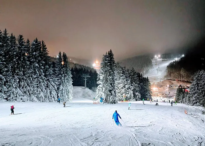 Tannenherz Mit Balkon & Bergblick & Naehe Hillebachsee & 2 Schlafzimmer Apartamento Winterberg