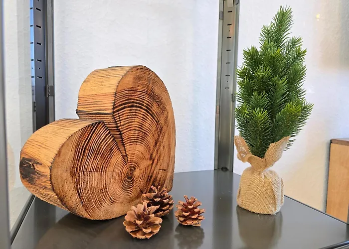 Tannenherz Mit Balkon & Bergblick & Naehe Hillebachsee & 2 Schlafzimmer Apartman